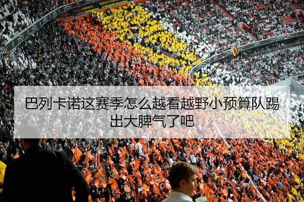 巴列卡诺这赛季怎么越看越野小预算队踢出大脾气了吧