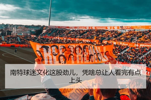 南特球迷文化这股劲儿，凭啥总让人看完有点上头 - kaiyun