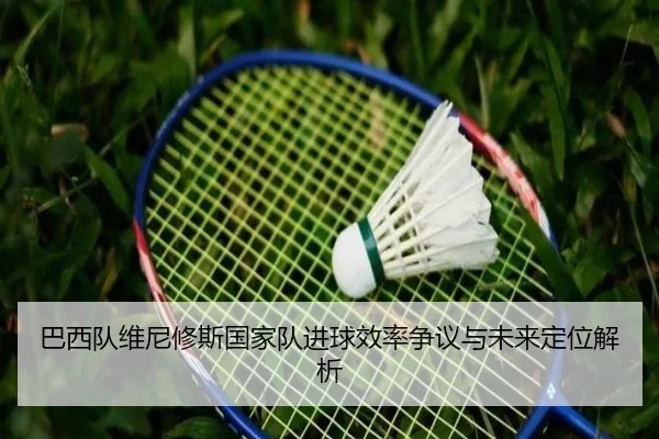 巴西队维尼修斯国家队进球效率争议与未来定位解析
